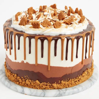 NEW S'mores Cake - Crumbs & Doilies